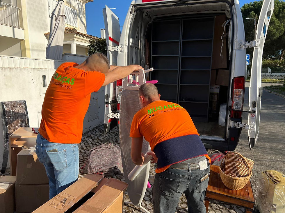 Blog TMI Mudanças: Especialistas em Mudanças Internacionais entre Portugal e a Europa