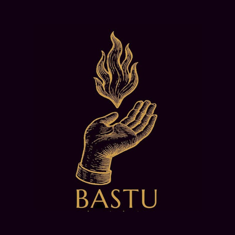 Brand Visual Identity for Bastu