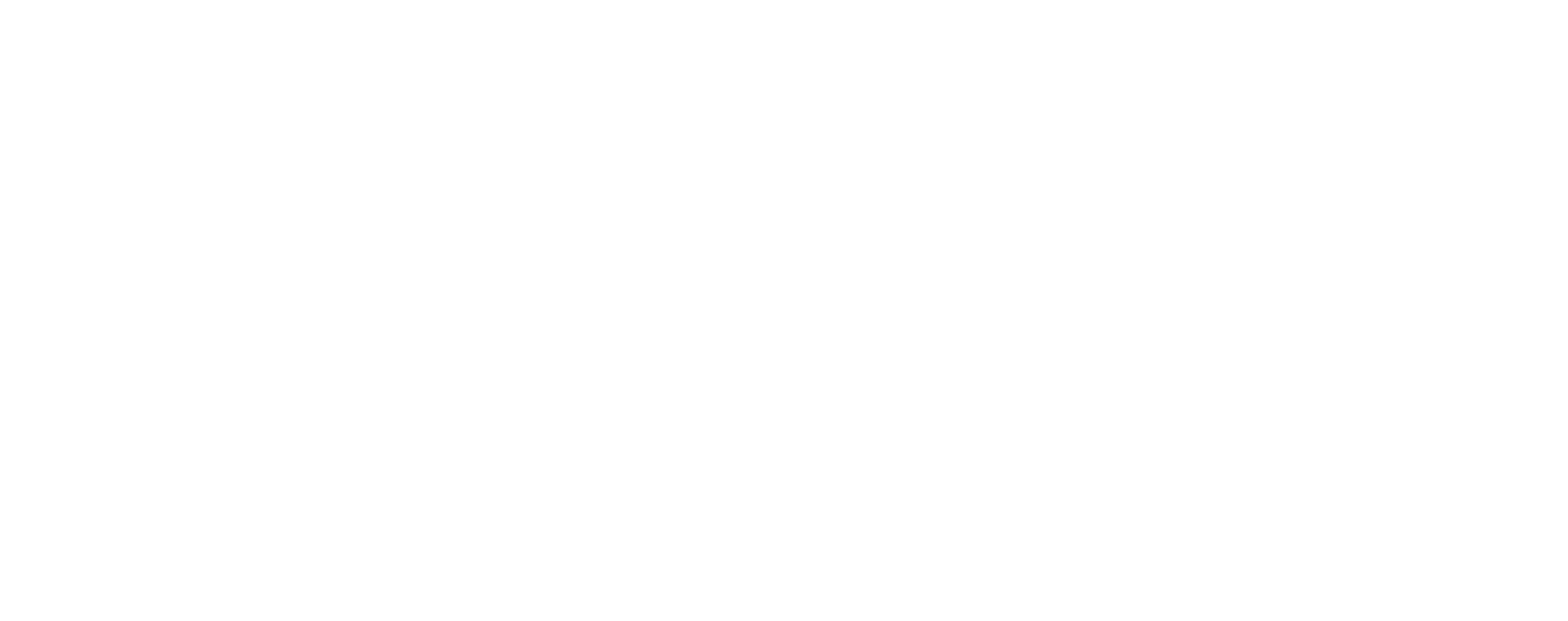 logo_w_Монтажна область 1 (1).png