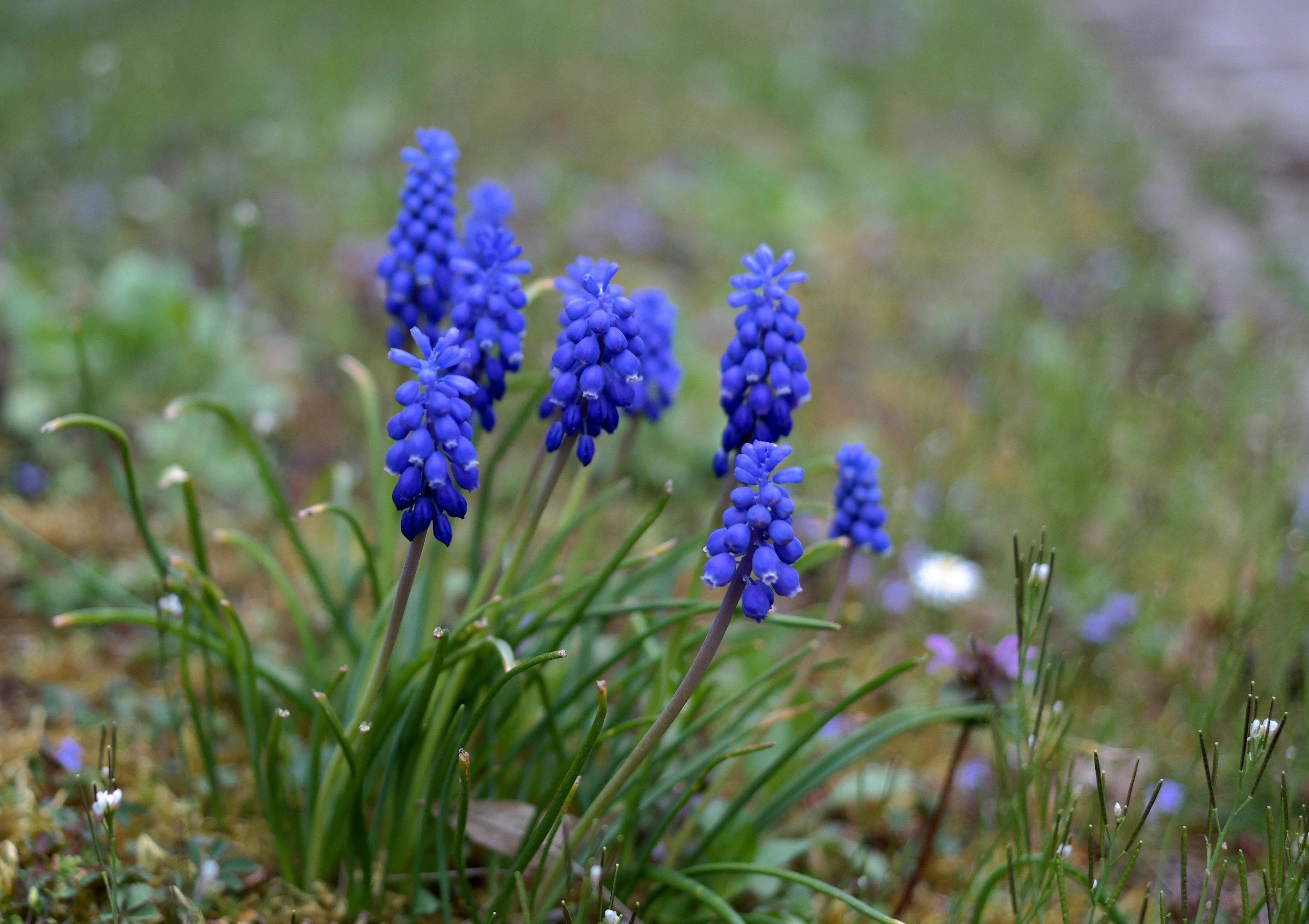Foto del escritor: Piedad Esther González