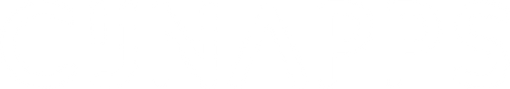 logo_sans_solution_ai_tout_blanc (1).png