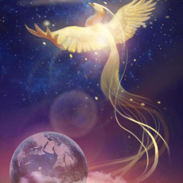 A Portal Of Ascension & Liberation