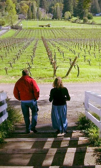 Walking into the vineyards