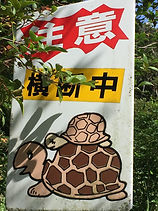 Nosoko mountain Maapee Ishigaki