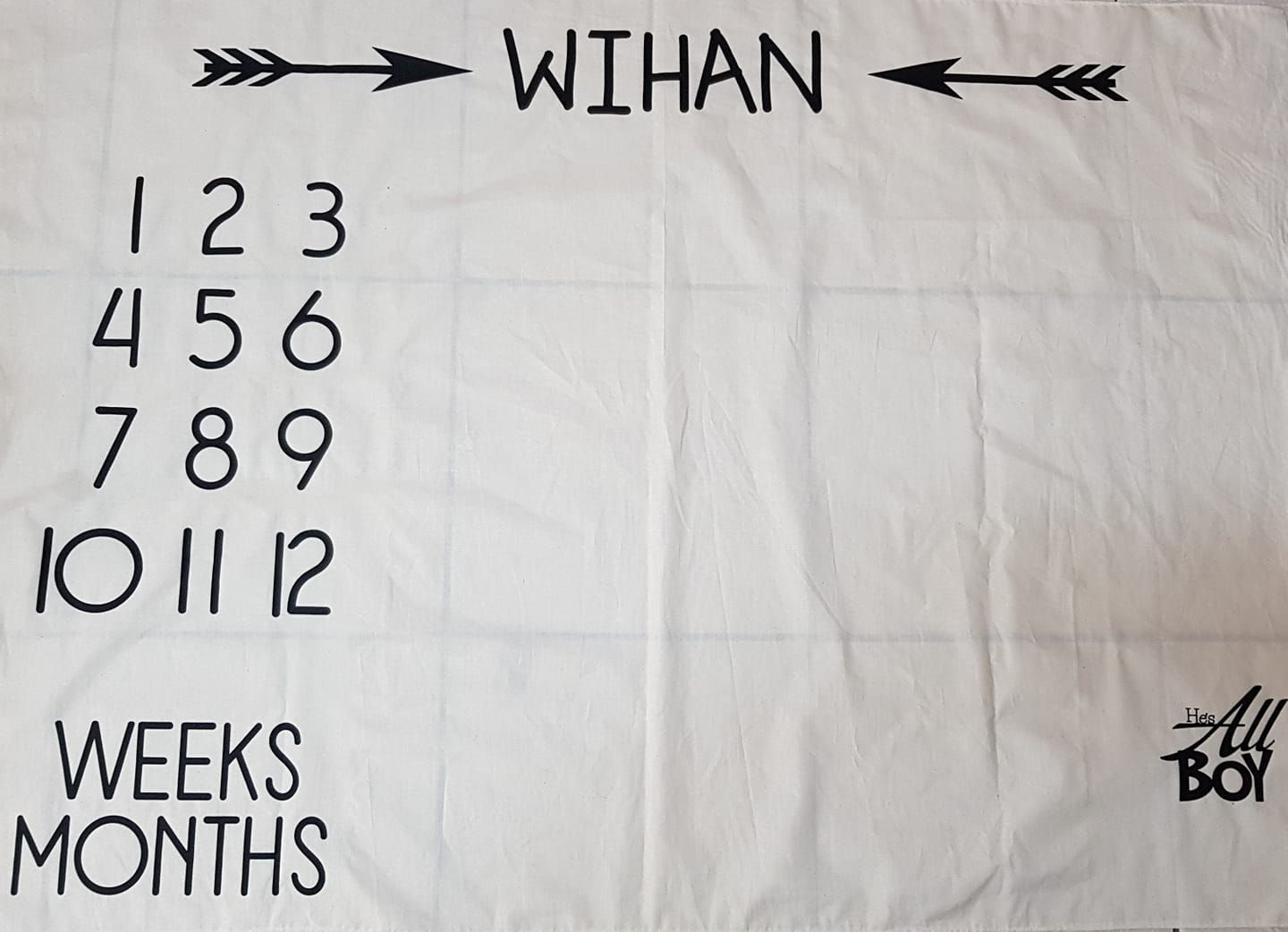 Milestone Photo Cloth Vinyl Print Plain