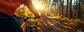 AdobeStock_1089024830-min.jpeg