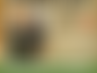 McKenna Moonah Blues Duo: Breaking News