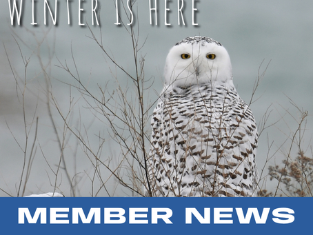 Macsmusic: Winter Is Here