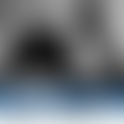 Michel Neray: ‘Let the Wild Orchids Grow’ on 311