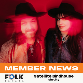 Satellite Birdhouse: Sin City