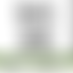 The Big Bad Jug Band @ The Pig’s Ear