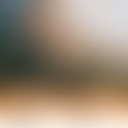 Dana Sipos: Star City