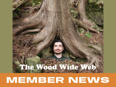 Pete Moss: The Wood Wide Web