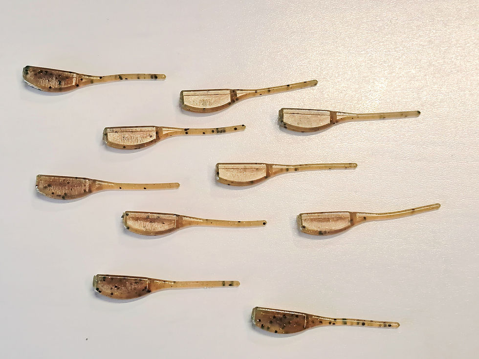 Thumbnail: 2.5" Whiplash Minnow - Pack of 12