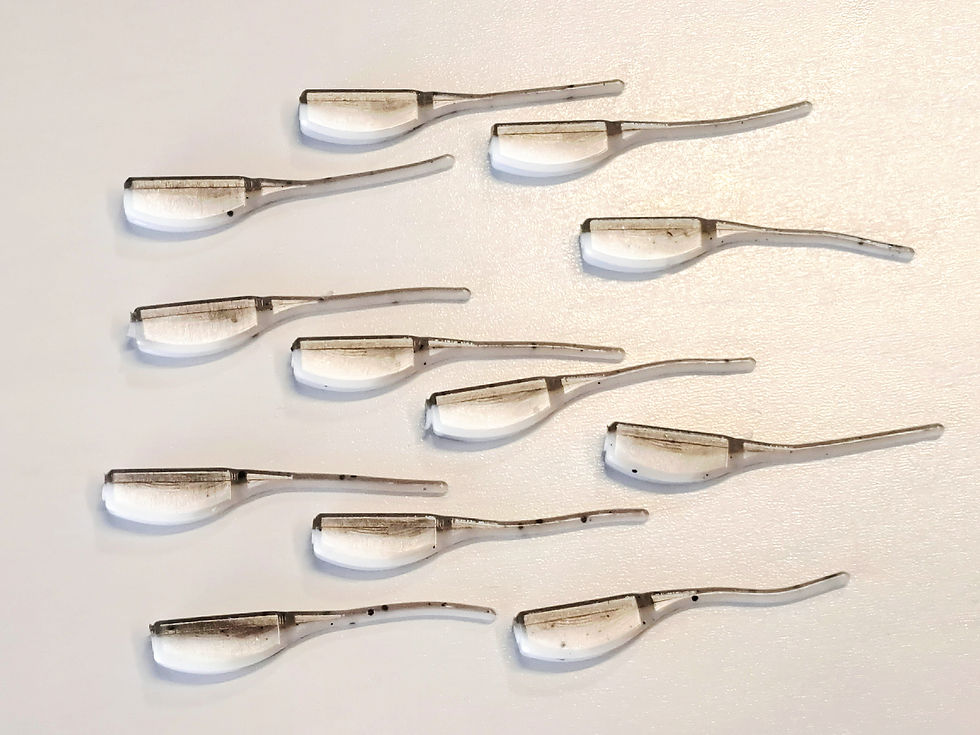 Thumbnail: 2.5" Whiplash Minnow - Pack of 12