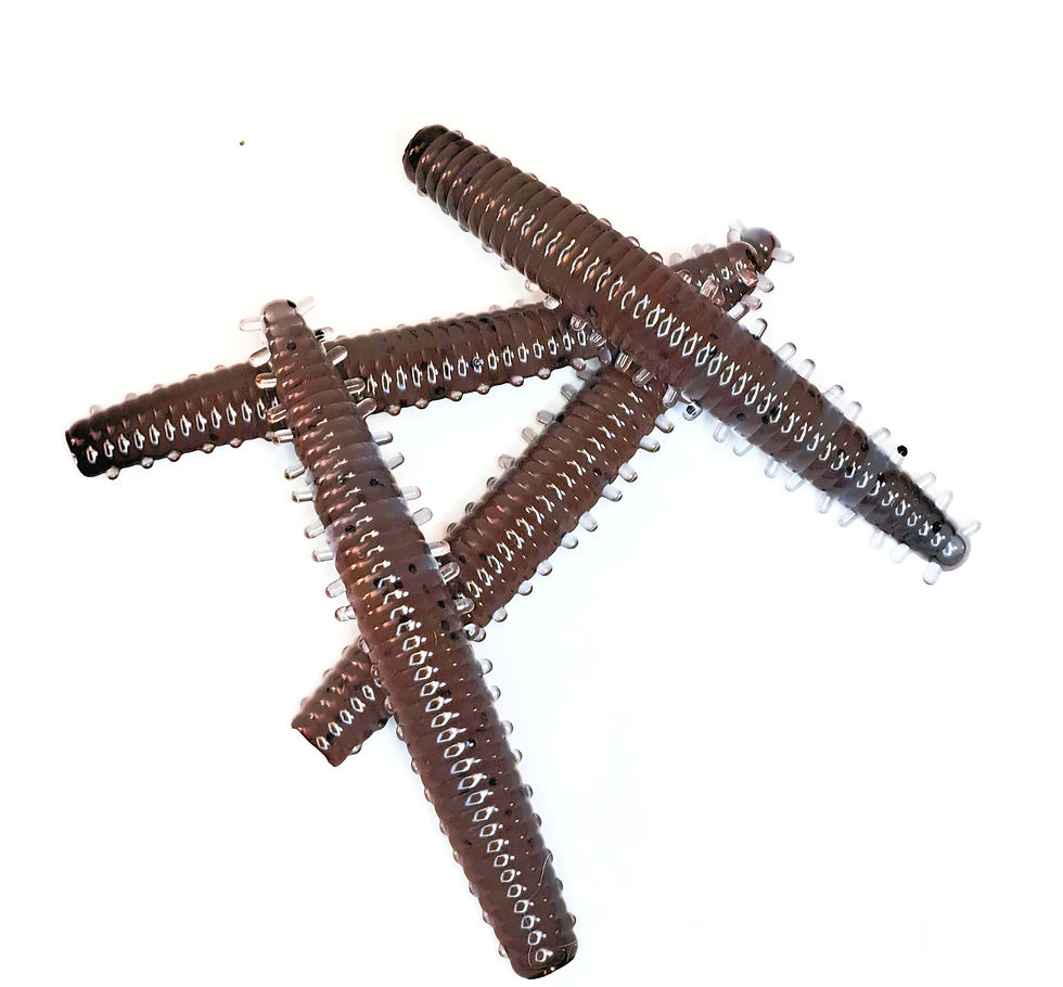 Thumbnail: 3" Tactical Millipede - Pack of 12 - Blue Craw