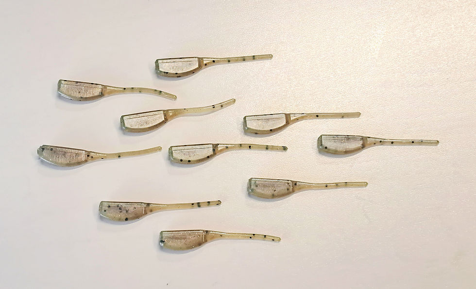 Thumbnail: 2.5" Whiplash Minnow - Pack of 12