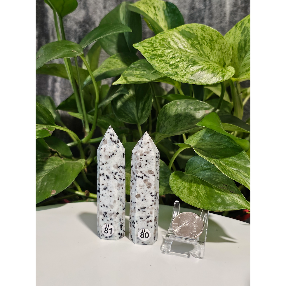 Thumbnail: Kiwi Jasper Points