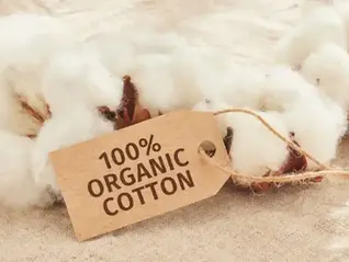 cotone organico
