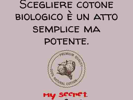 Perché scegliere una t-shirt in cotone biologico: benefici e verità nascoste