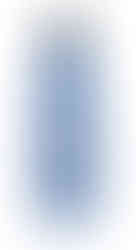 בקבוק תרמי - עגורנים עפים