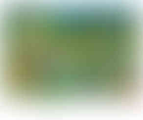 פאזל 1000 חלקים - הונולולו