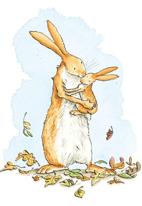 מארז כרטיסי ברכה קוביה - נחש כמה אני אוהב אותך