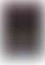 מחברת גדולה - טווס פמפס