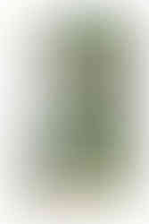 יומן תמידי - טפט לסטר