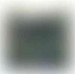 פאזל 1000 חלקים - חיות ימיות