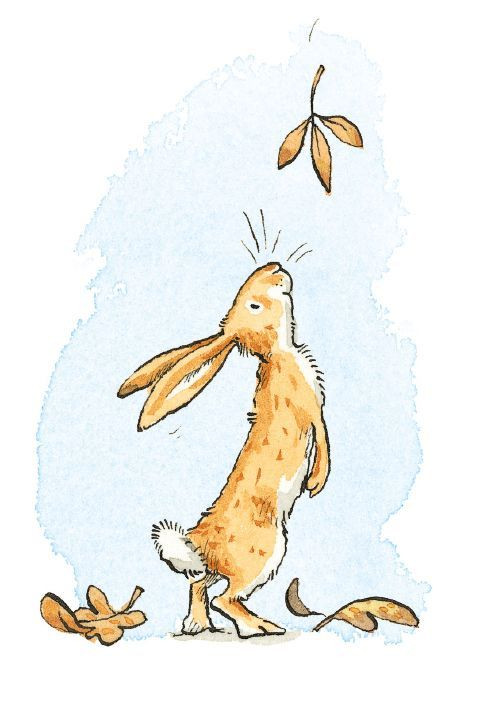 מארז כרטיסי ברכה קוביה - נחש כמה אני אוהב אותך