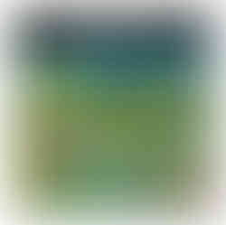 פאזל 1000 חלקים - הונולולו