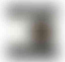 משקולת נייר - דבורה