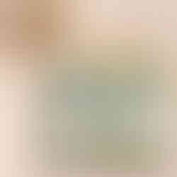 תיק איפור - ציפורים מאזורים שונים