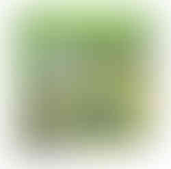 פאזל 1000 חלקים - חיות גינה