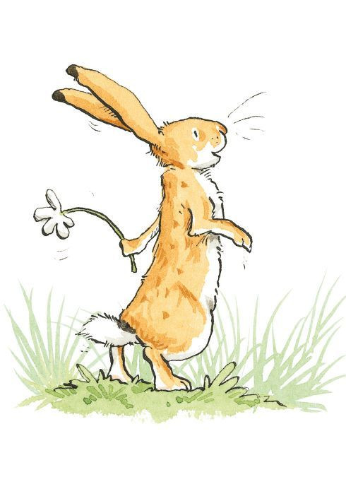 מארז כרטיסי ברכה קוביה - נחש כמה אני אוהב אותך