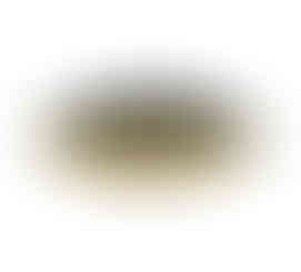 כרית נוי - דבורה