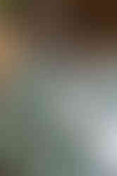 כפפה כפולה למטבח - טפט לסטר