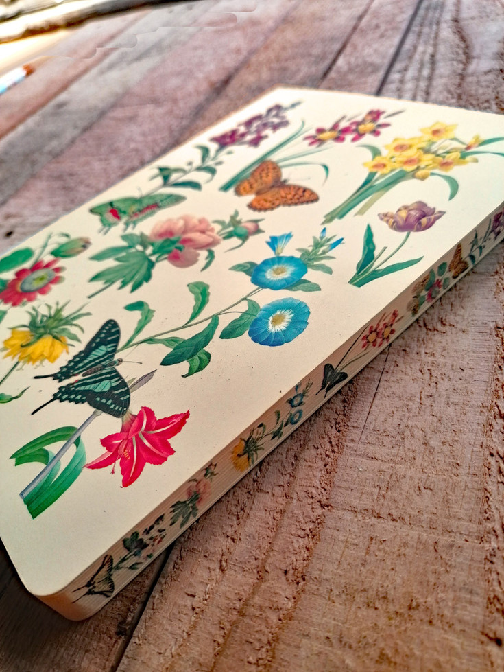 מחברת קצוות מעוטרים טבע