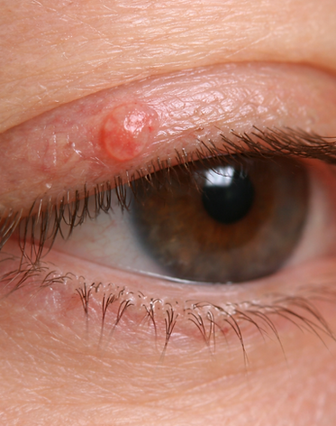 ChatGPT Image 20 mar 2026, 10_27_20 a.m..png