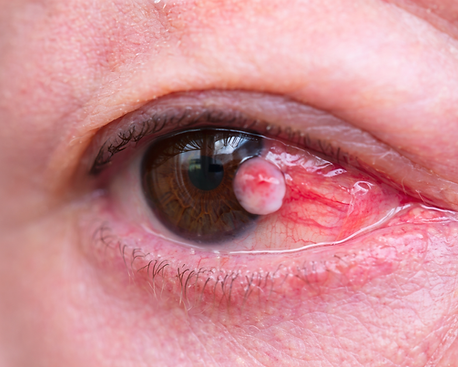 ChatGPT Image 25 mar 2026, 11_59_43 a.m..png