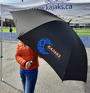 Umbrella.jpeg
