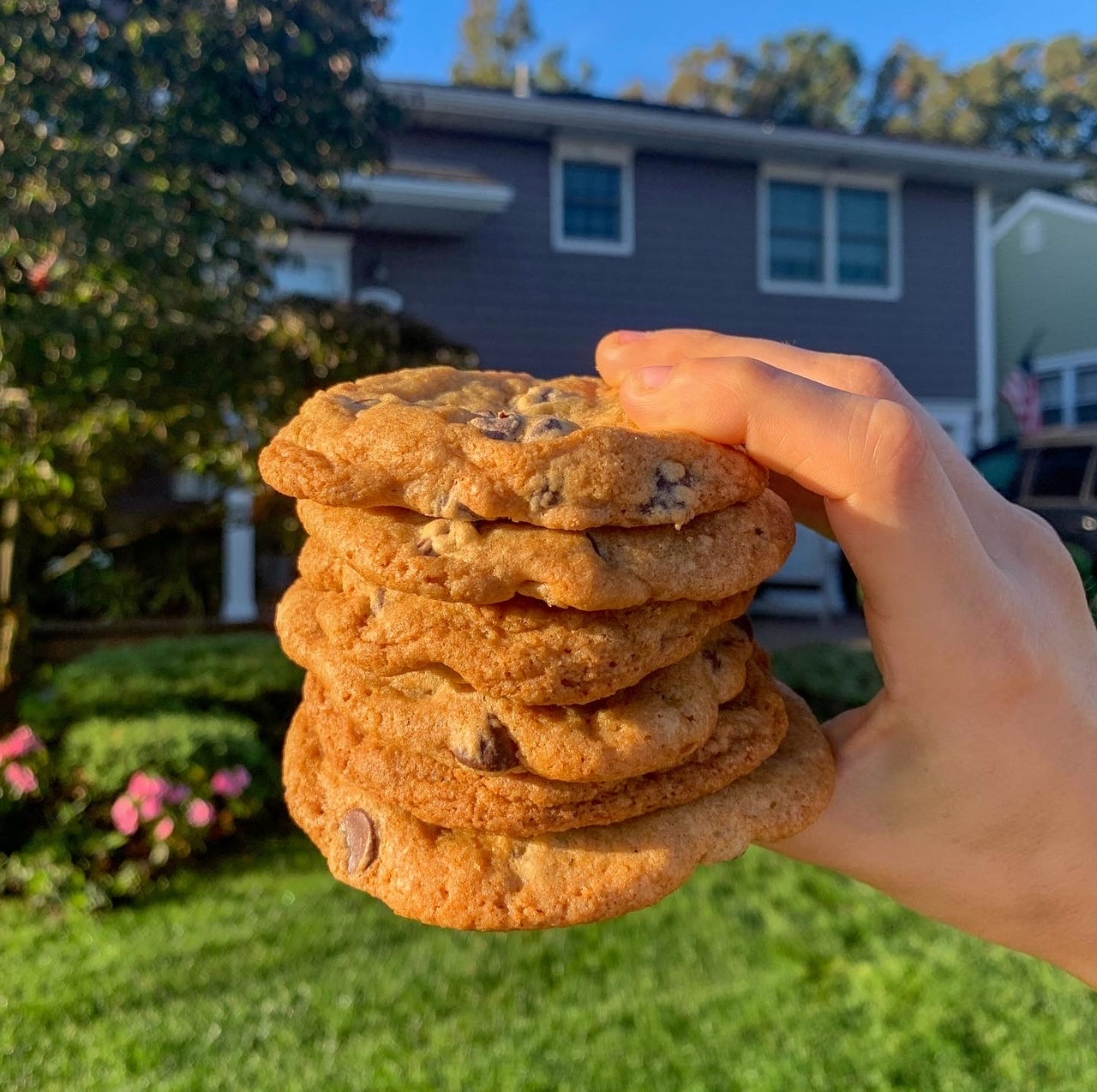 Chocolate Chip Cookies
