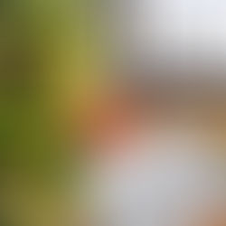 Maximize Your Content, Minimize Your Stress: The Social Media Holiday Game Plan