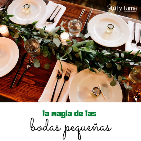 La Magia de las Bodas Pequeñas
