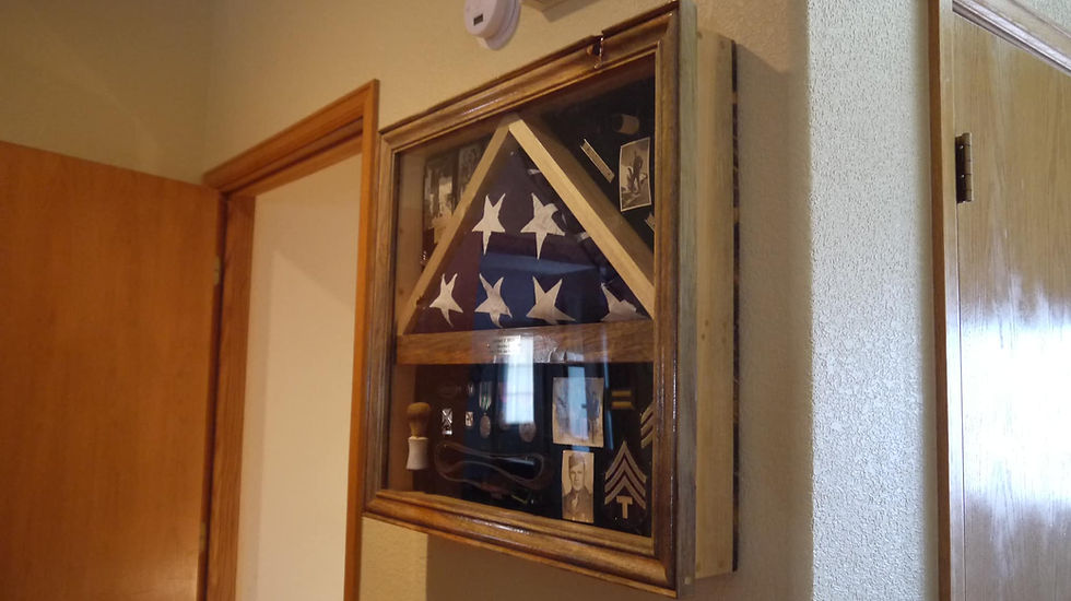 Thumbnail: Tri-Fold Flag Case
