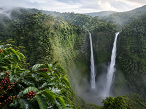 Le plateau des Bolavènes au Laos : cascades, café et rencontres au cœur du Sud