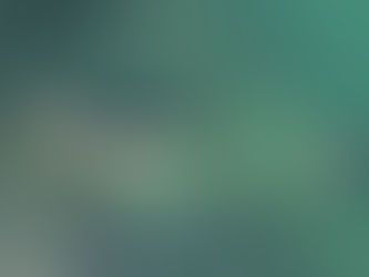 Checked that The Samae San Fishing Vessels Stop Did Not Affect The Coral Reefs