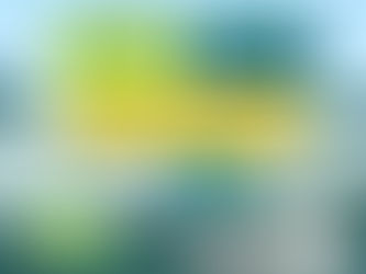 The Results for the year 2021 on Corals and Seagrass