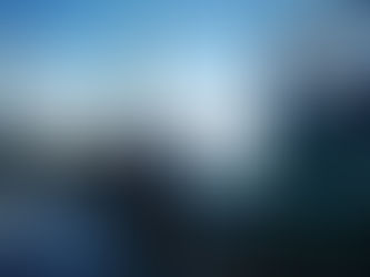 Researchers Surveyed the area to Interview and Collect Samples of Commercial Trawl Fishing Vessels